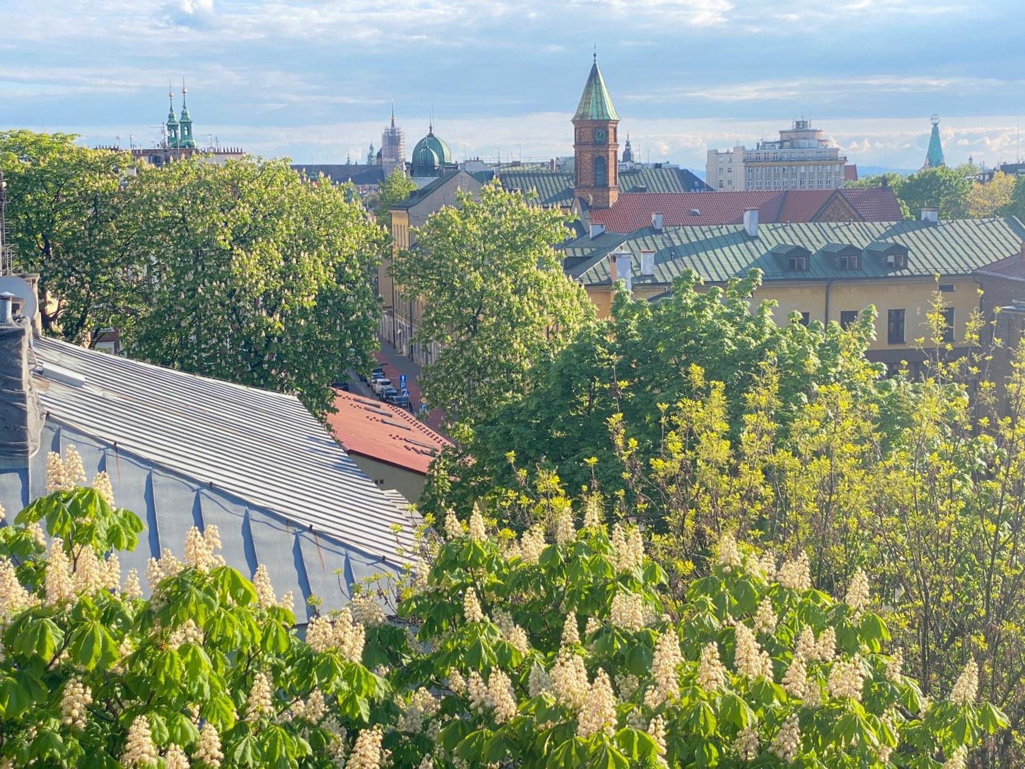 Angel Mint Apartment - Free Parking - Balcony Krakow Ngoại thất bức ảnh